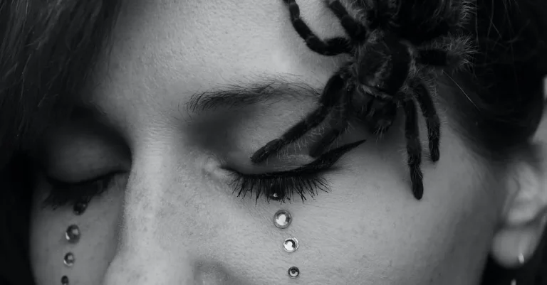 Giant Spider Dream Meaning Biblical